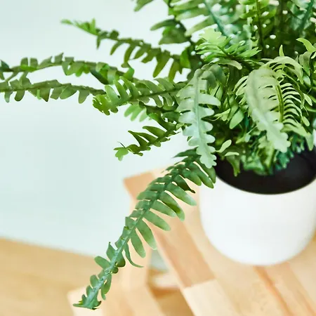 Rb-3 2 Pers Dans Les Combles 3eme Etage Mulhouse