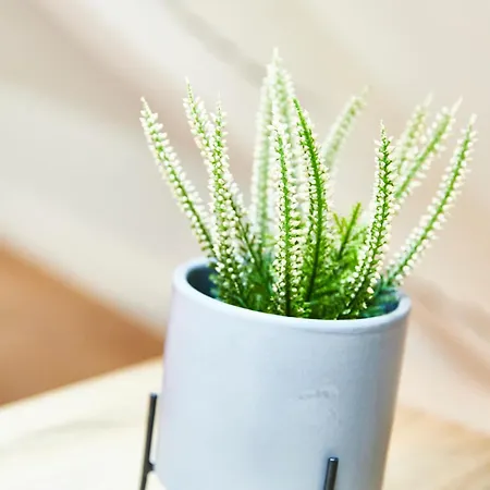 アパート Rb-3 2 Pers Dans Les Combles 3eme Etage *